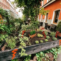 angenehme Atmosphäre vom Restaurant Paradies